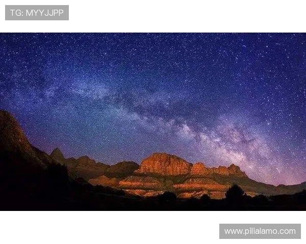 星空官网登录入口的便捷使用方式与技巧