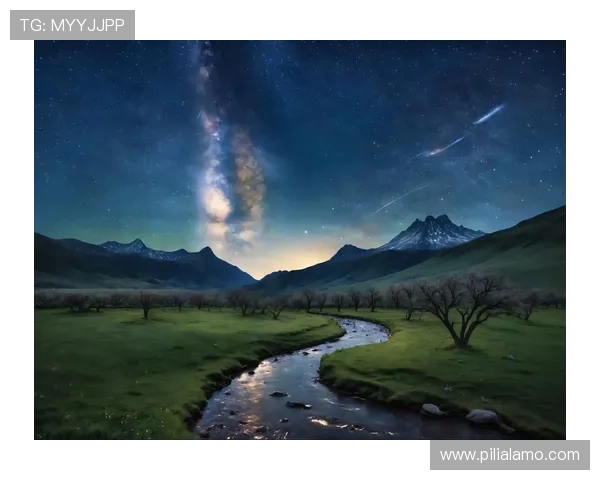 星空官网免费入口最新上线，轻松获取优质影视资源无限畅看