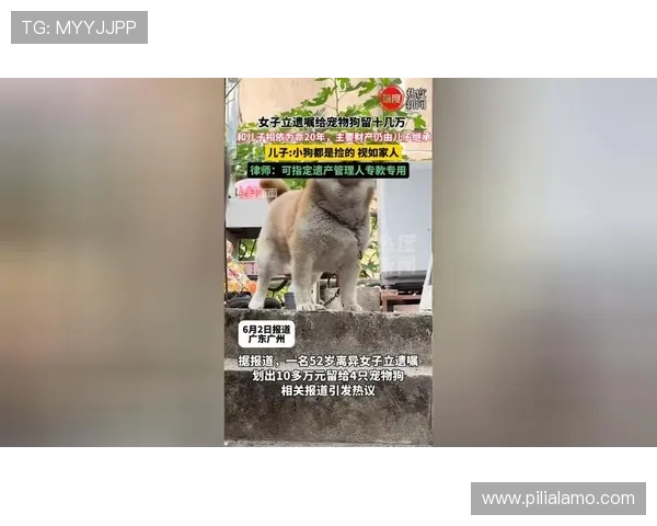 万狗体育在宠物娱乐产业中的创新发展与未来前景