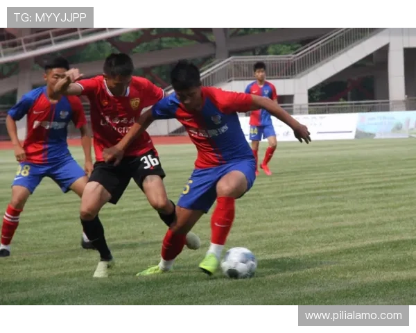 乐动体育系列网投平台未来发展趋势及创新亮点预测助力平台持续壮大