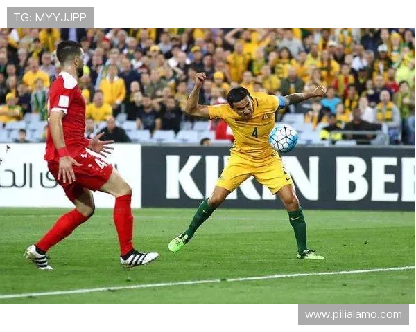 关于KB体育入口官方的常见问题解答帮助新手玩家快速解决疑问 关于KB体育入口官方的常见问题解答帮助新手玩家快速解决疑问