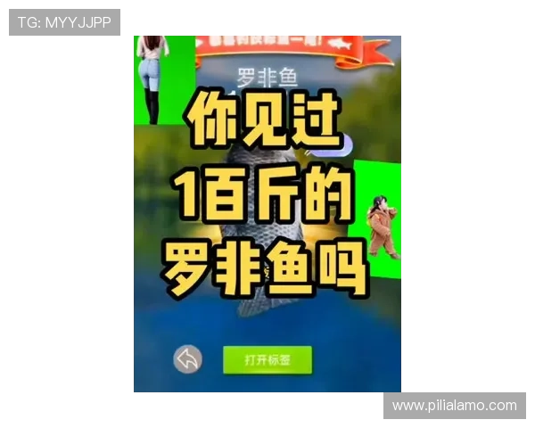 博鱼官网客户端下载指南，操作简单快速让你随时随地享受精彩游戏与优惠活动