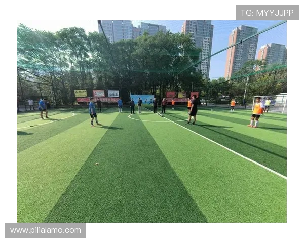 星空体育平台：引领未来体育发展方向打造全民健身新格局