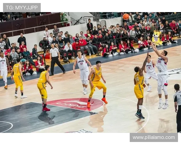 星空体育正规网址保证用户资金安全，提供丰富多样的体育赛事投注服务