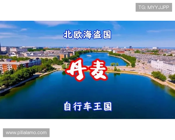 世界杯突尼斯与荷兰比赛球票购买途径及提前购票的实用建议